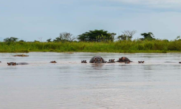 5-Day Burundi Visit Tour Sightseeing