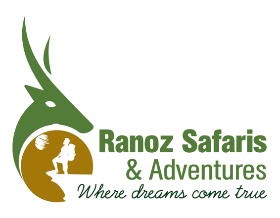 Ranoz Safaris